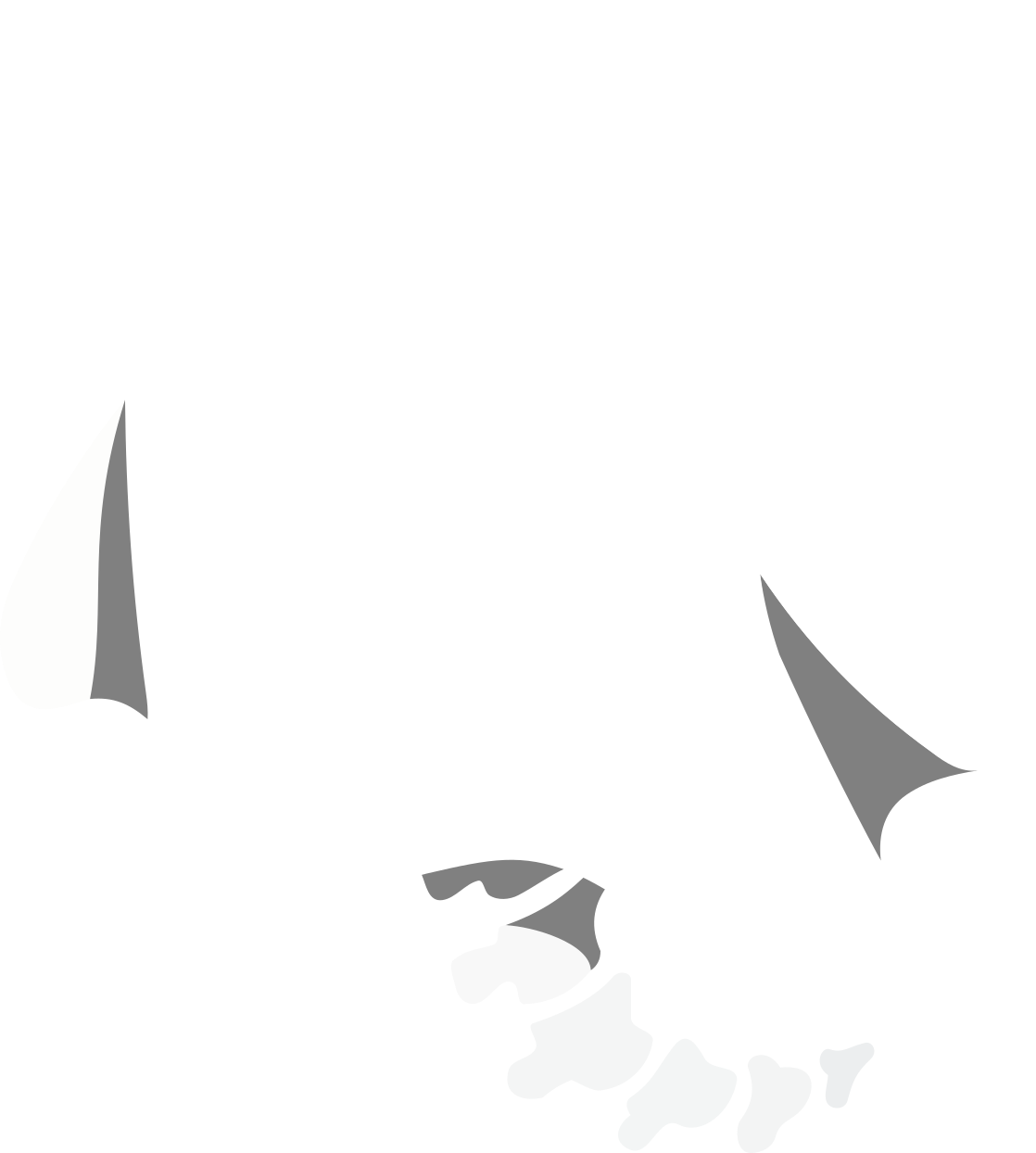 GHosteo